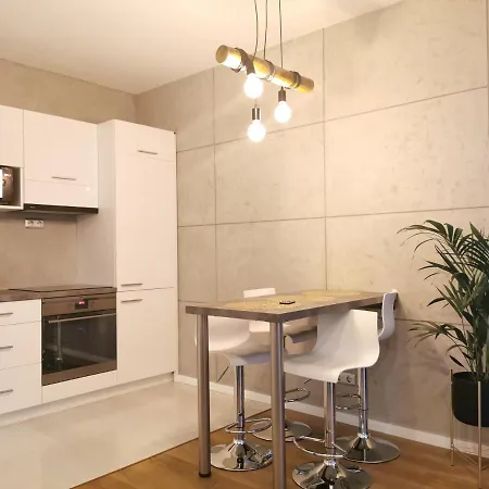 Platynowy W Centrum Miasta Apartment *