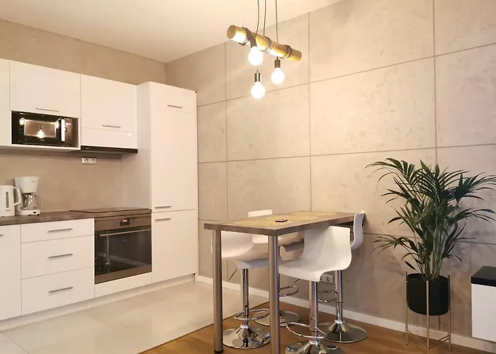 Platynowy W Centrum Miasta Apartmán *