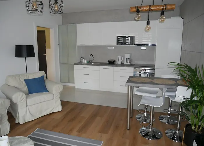 Platynowy W Centrum Miasta צ'סטוצ'ובה