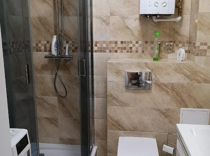 Platynowy W Centrum Miasta Apartmán *